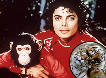 Michael Jackson, Bubbles, Tigers Michael Jackson, Bubbles, Tigers